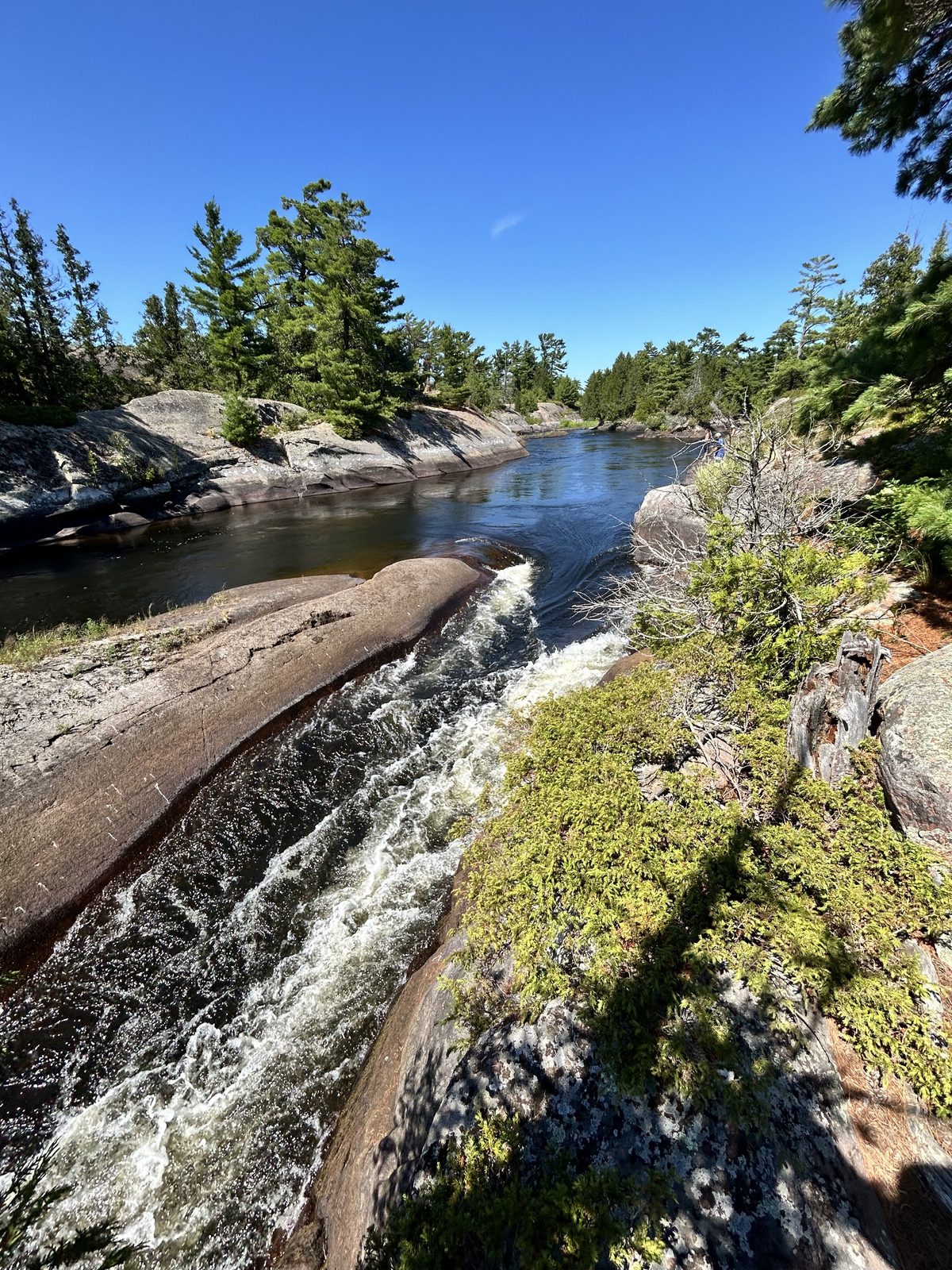 The Five Finger Rapids on the French River, white water running over pink granite between pines