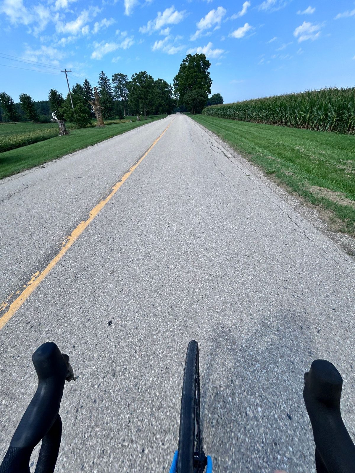 Handlebar view down a quiet two-lane concession road, corn standing head-high on the right, mown grass verges and a farmhouse windbreak ahead