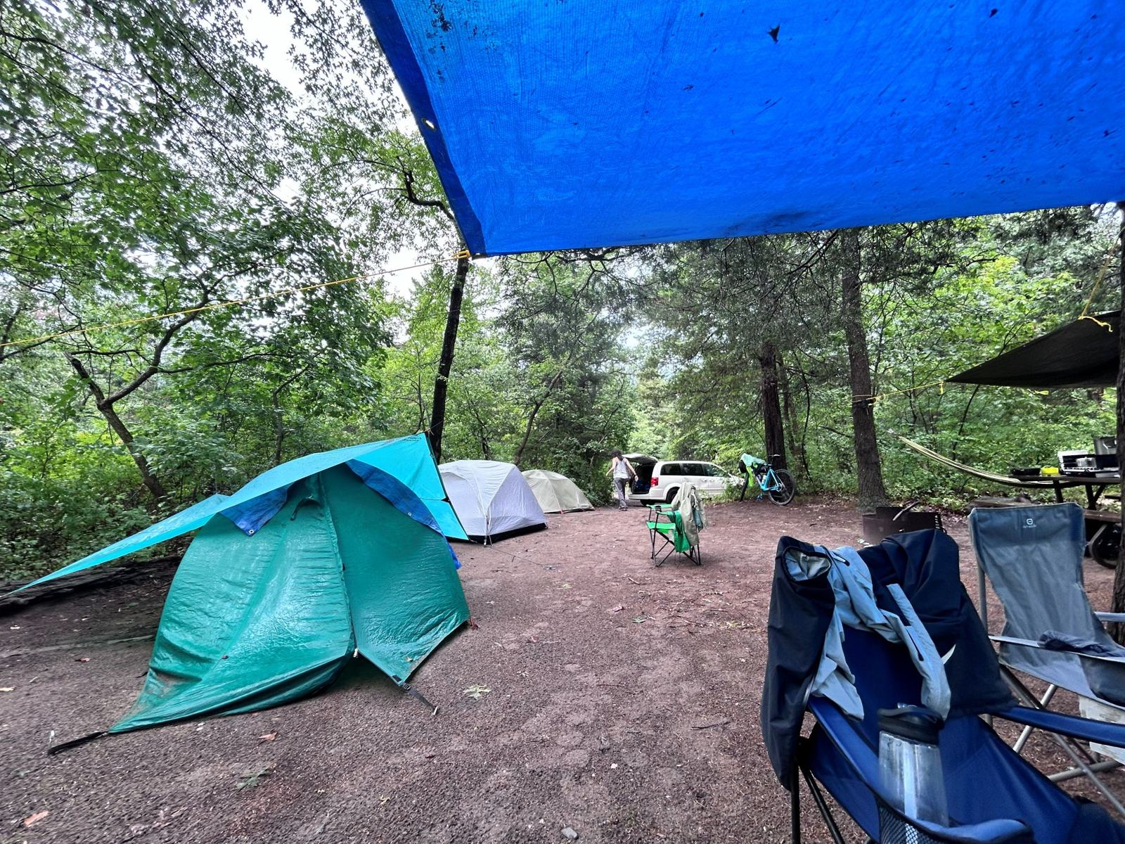 Three tents and two blue tarps rigged between trees on a wooded campsite at Pinery Provincial Park during heavy rain