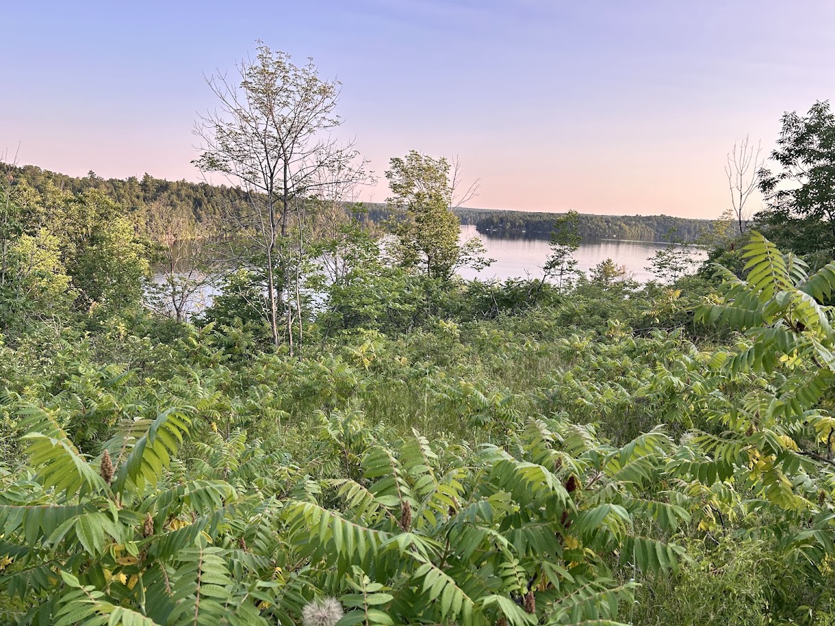 Ridgeview Trail at Sharbot Lake Provincial Park